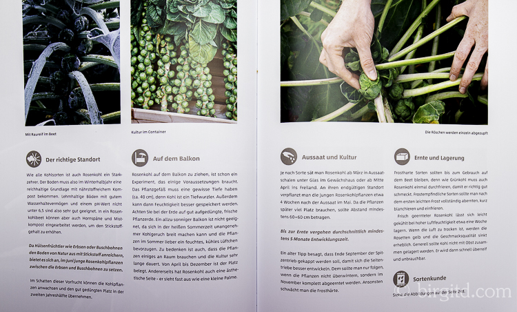 Gemüse und Kräuter im Garten - Rosenkohl (Foto aus dem Buch)